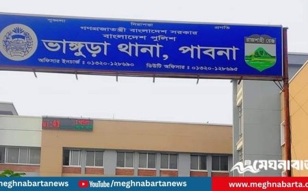 পাবনায় অটোভ্যান উল্টে প্রাণ গেল শিশুর
