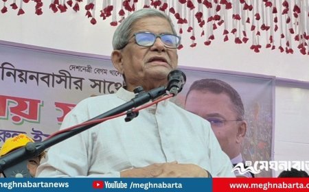 আওয়ামী লীগের বিরুদ্ধে থাকা সব মামলা তুলে নেবে বিএনপি: মির্জা ফখরুল
