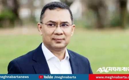 নভেম্বরের শেষেই দেশে ফিরছেন তারেক রহমান: সালাহউদ্দিন আহমদ