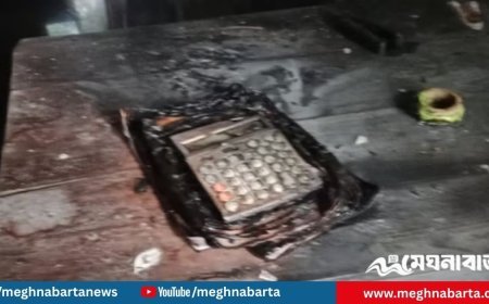 গভীর রাতে গ্রামীণ ব্যাংকে অগ্নিসংযোগ, পেট্রল ঢেলে আগুন