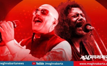 নিরাপত্তাহীনতার কারণে আলী আজমত ও জেমসের কনসার্ট  স্থগিত