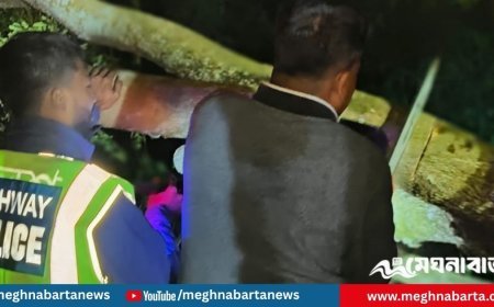 গভীর রাতে গাছ ফেলে মহাসড়ক অবরোধের চেষ্টা