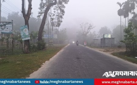 তেঁতুলিয়ায় তাপমাত্রা নামল ১৪ ডিগ্রিতে