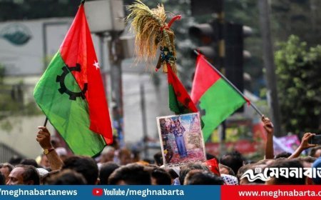 ফাঁকা ৬৩ আসন নিয়ে চূড়ান্ত সিদ্ধান্তে বিএনপি