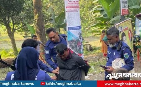 আগুন দেওয়ার সন্দেহে খুঁটিতে বেঁধে আ. লীগ নেতার ছেলেকে পিটুনি