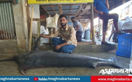 জেলের জালে ধরা পড়ল ২ মণের পাখি মাছ