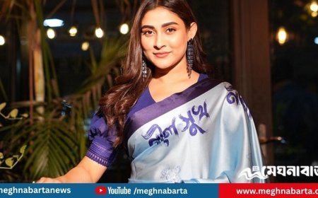 আত্মসমর্পণ করে জামিন পেলেন মেহজাবীন ও ভাই আলিসান