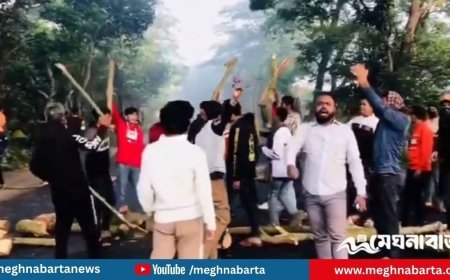 ঢাকা-খুলনা মহাসড়কে গাছ ফেলে নিষিদ্ধ ছাত্রলীগের বিক্ষোভ