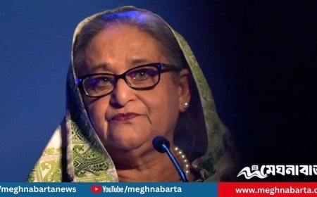 মানবতাবিরোধী অপরাধ: শেখ হাসিনার মৃত্যুদণ্ডের রায়