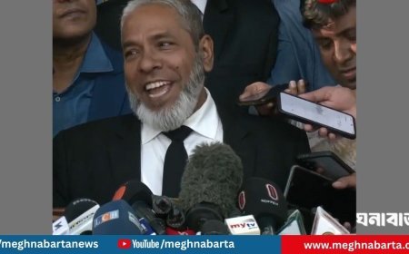 আসামিদের ফাঁসির রায়ে আমি কষ্ট পেয়েছি : হাসিনার আইনজীবী