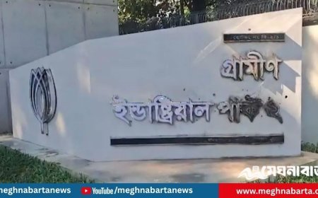 গ্রামীণ ইন্ডাস্ট্রিয়াল পার্কে হামলা, ককটেল বিস্ফোরণ