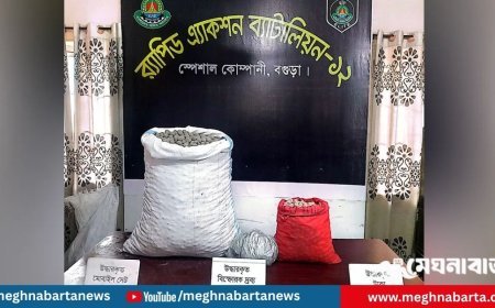 বগুড়ায় বিপুল বিস্ফোরক উদ্ধার, গ্রেপ্তার ৩