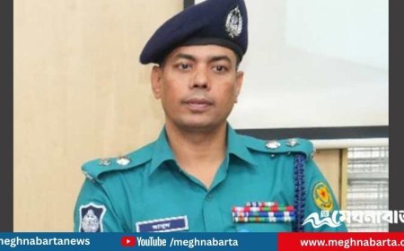 “এরা তো শিবির, নতুন ফোর্স লাগবে”: ফোনালাপে সমালোচনায় ডিসি মাসুদ