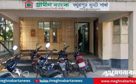 বগুড়ায় গ্রামীণ ব্যাংকের শাখা থেকে ৩ ককটেল উদ্ধার
