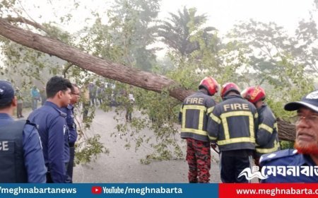 মাদারীপুরে মহাসড়ক অবরোধের চেষ্টা ব্যর্থ, দুই ঘণ্টা পর উদ্ধার