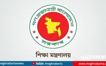 সাত কলেজ নিয়ে ‘ঢাকা কেন্দ্রীয় বিশ্ববিদ্যালয়’;  সরকারের নীতিগত সিদ্ধান্ত গ্রহণ