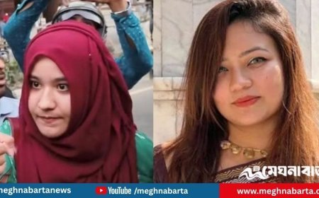 রাফিয়ার প্রতিবাদের ছবি দিয়ে যা লিখলেন ঢাবি শিক্ষিকা মোনামী