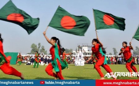 বিজয় দিবসে এবারও থাকছে না প্যারেড: স্বরাষ্ট্র উপদেষ্টার বার্তা