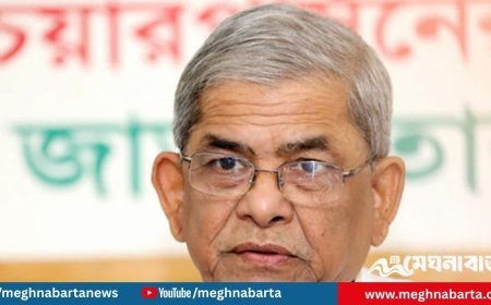 ব্যর্থ রাষ্ট্র করতে না চাইলে গণতন্ত্র প্রতিষ্ঠা করতে হবে : ফখরুল