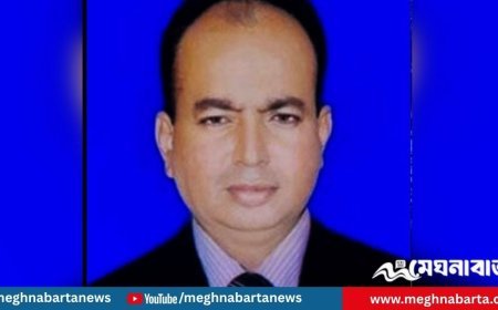 জাল সনদে চাকরি ও প্রতারণার দায়ে প্রধান শিক্ষককে কারাদণ্ড