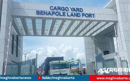৩ মাসে বেনাপোল দিয়ে ভারত থেকে এসেছে ১৩ হাজার ৫২৮ মেট্রিক টন চাল