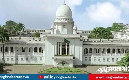 তত্ত্বাবধায়ক সরকার পুনর্বহাল: চতুর্দশ জাতীয় নির্বাচনে কার্যকর