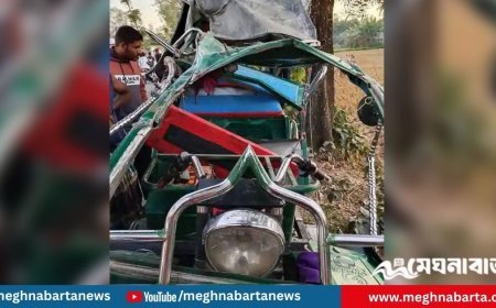 ট্রাক-অটোরিকশার মুখোমুখি সংঘর্ষে একই পরিবারের দুজন নিহত, আহত ৪