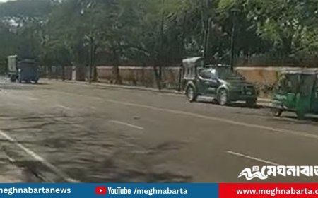 সংসদ ভবন এলাকায় সিনিয়র বিচারকের মোবাইল-চশমা ছিনতাই