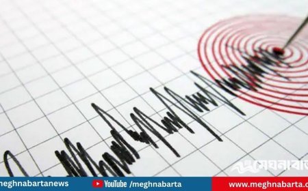 পাকিস্তানে ৫.২ মাত্রার ভূমিকম্প