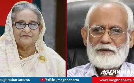 গুমের মামলায় শেখ হাসিনার পক্ষে রাষ্ট্রনিযুক্ত আইনজীবী জেড আই খান পান্না