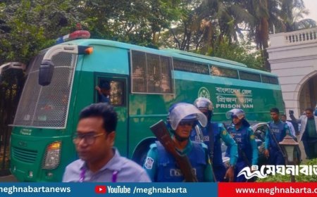 টিএফআই ও আয়নাঘর মামলায় ট্রাইব্যুনালে ১৩ সেনা কর্মকর্তা