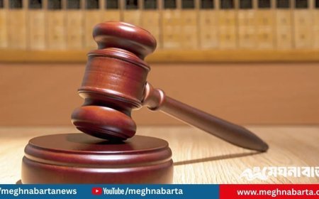 ডিবি হারুন ও সাবেক আইজি বেনজীর পরিবারের আয়কর নথি জব্দের নির্দেশ