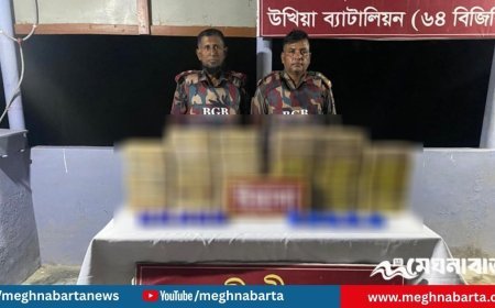 উখিয়ায় সীমান্ত এলাকা থেকে ৩ লাখ ৬০ হাজার ইয়াবা উদ্ধার