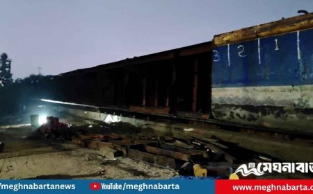 নারায়ণগঞ্জে মালবাহী জাহাজ ভাড়ায় এনে কেটে বিক্রি করলেন ছাত্রদল নেতা