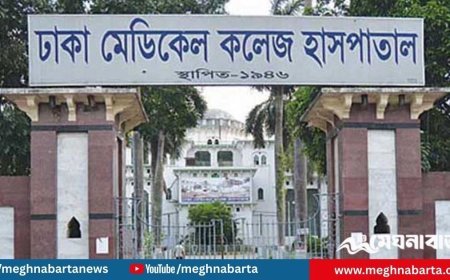 কারওয়ান বাজারে ছিনতাইকারীর হামলায় আহত কাঁচামাল বিক্রেতা