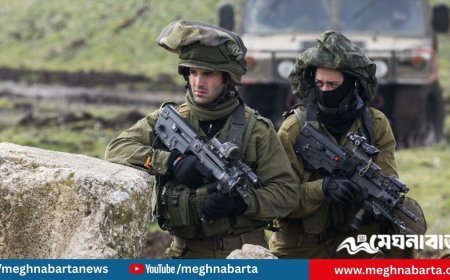 আত্মসমর্পণরত নিরস্ত্র দুই ফিলিস্তিনিকে গুলি করে হত্যা করলো ইসরায়েল