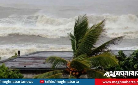 ঘূর্ণিঝড় ‘ডিটওয়াহ’ কত দূরে, সর্বশেষ যা জানা গেল