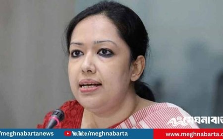 খালেদা জিয়ার অসুস্থতার জন্য হাসিনাকে জবাবদিহি করতে হবে : রুমিন ফারহানা