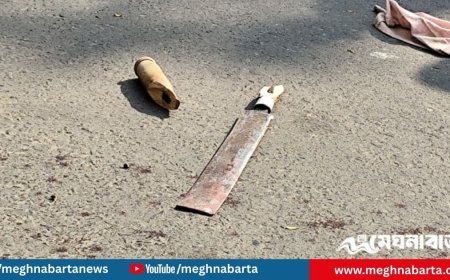 খুলনায় আদালত প্রাঙ্গণে গুলি ও কুপিয়ে দুই আসামি হত্যা