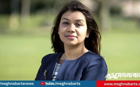 সোমবার রায়, সাজা হলে যুক্তরাজ্যে যে পরিস্থিতিতে পড়তে পারেন টিউলিপ