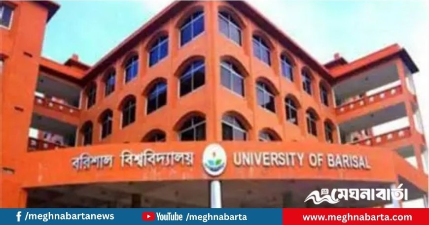 বরিশাল বিশ্ববিদ্যালয় কেন্দ্রীয়  ছাত্র সংসদ (বাকসু) গঠনতন্ত্রের খসড়া প্রকাশ