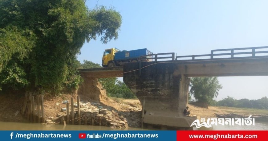 নেত্রকোনায় ঝুঁকিতে নল্লাপাড়া সেতু, জীবনের ঝুঁকি নিয়েই পারাপার