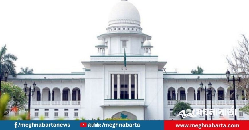 তত্ত্বাবধায়ক বাতিলের রায়ই আজকের রাজনৈতিক অস্থিরতার মূল : বিএনপির আইনজীবী