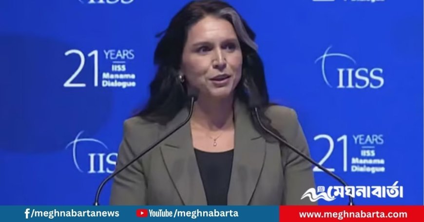 অন্য দেশের সরকার বদলের মার্কিন নীতি আর নয়: তুলসী গ্যাবার্ড