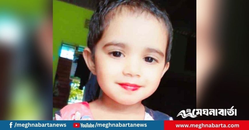 ঘুমন্ত কন্যাশিশুকে ছুরিকাঘাতে হত্যা, বাবা আটক