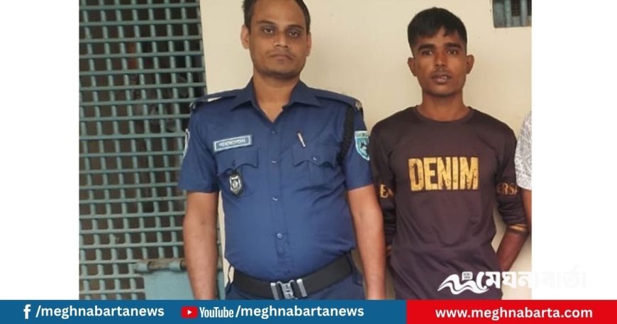 পীরগঞ্জে ৩ সাংবাদিককে মারধর, গ্রেপ্তার ১