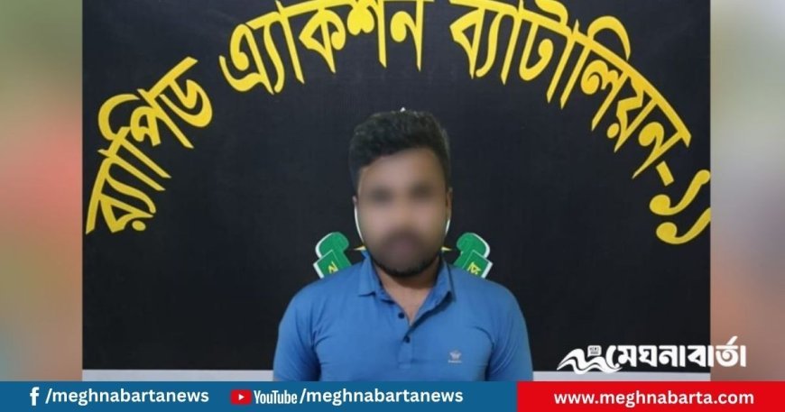 কুষ্টিয়ার আলোচিত জোড়া খুনের মূলহোতাকে নারায়ণগঞ্জ থেকে গ্রেপ্তার