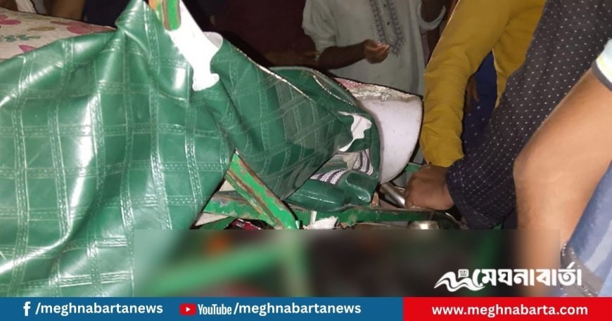 নেত্রকোনায় বাসচাপায় অটোরিকশাচালক নিহত