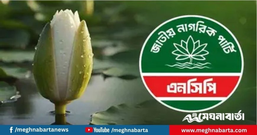 এনসিপির মনোনয়ন ফরম বিক্রি শুরু, মূল্য ১০ হাজার টাকা