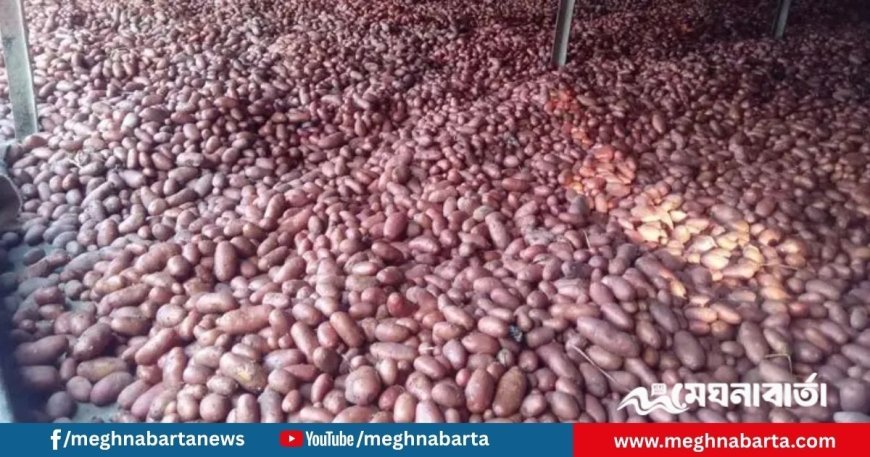 হিমাগার থেকে হাওয়া কৃষকের হাজার বস্তা আলু